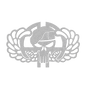82nd Skull & Wings Metal Wall Art | Airborne Tribute - MAIKERU STUDIO