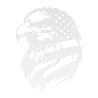 American Bald Eagle with Flag Patriotic Metal Wall Art - MAIKERU STUDIO