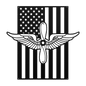 Aviation Branch Insignia | American Flag Tribute - MAIKERU STUDIO