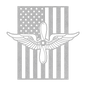 Aviation Branch Insignia | American Flag Tribute - MAIKERU STUDIO
