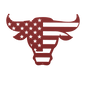 Bulls Head With American Flag Metal Wall Art - MAIKERU STUDIO