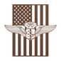 Chief Flight Nurse Wings | American Flag Tribute - MAIKERU STUDIO
