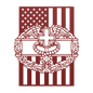 Combat_Medical_Badge__American_Flag_Met_Red_Transparent_Mockup.png