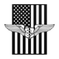 Flight Nurse Wings | American Flag Tribute - MAIKERU STUDIO