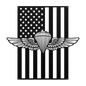 Naval/Marine Jump Wings Metal Wall Art | American Flag Tribute - MAIKERU STUDIO