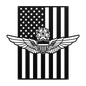 Master Aviation Wings Badge | American Flag Wall Art Tribute - MAIKERU STUDIO