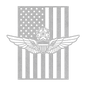 Master Aviation Wings Badge | American Flag Wall Art Tribute - MAIKERU STUDIO