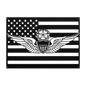Master Aviator Wings | Horizontal Flag Tribute - MAIKERU STUDIO