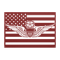 Master Aviator Wings | Horizontal Flag Tribute - MAIKERU STUDIO