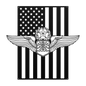 Master Navigator Wings | American Flag Tribute - MAIKERU STUDIO