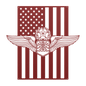 Master Navigator Wings | American Flag Tribute - MAIKERU STUDIO