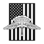 Military Freefall Wings | HALO Badge Tribute - MAIKERU STUDIO