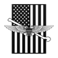 NFO Tailhook Wings | American Flag Tribute - MAIKERU STUDIO