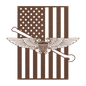 NFO Tailhook Wings | American Flag Tribute - MAIKERU STUDIO
