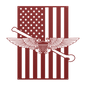 NFO Tailhook Wings | American Flag Tribute - MAIKERU STUDIO