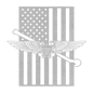 NFO Tailhook Wings | American Flag Tribute - MAIKERU STUDIO