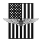 NFO Wings | American Flag Tribute - MAIKERU STUDIO