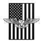 Naval Air Warfare Wings Metal Wall Art | American Flag Tribute - MAIKERU STUDIO