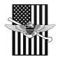 Naval Aviation Tailhook Wings | American Flag Tribute - MAIKERU STUDIO