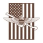 Naval Aviation Tailhook Wings | American Flag Tribute - MAIKERU STUDIO