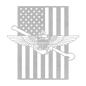 Naval Aviation Tailhook Wings | American Flag Tribute - MAIKERU STUDIO
