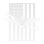 Naval Aviation Tailhook Wings | American Flag Tribute - MAIKERU STUDIO