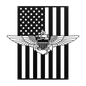 Naval Aviator Wings | American Flag Tribute - MAIKERU STUDIO