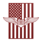 Navigator Wings | American Flag Tribute - MAIKERU STUDIO