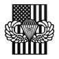 Paratrooper Jump Wings With Combat Star | American Flag Tribute - MAIKERU STUDIO