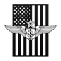 Senior Flight Nurse Wings | American Flag Tribute - MAIKERU STUDIO
