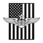 Senior Navigator Wings | American Flag Tribute - MAIKERU STUDIO