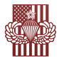 Senior Parachutist Badge Metal Wall Art | Airborne Jump Wings With American Flag - MAIKERU STUDIO