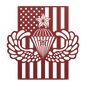 Senior Parachutist Wings With Combat Star | American Flag Tribute - MAIKERU STUDIO