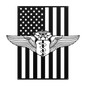 U.S. Air Force Chief Flight Surgeon Wings | American Flag Tribute - MAIKERU STUDIO