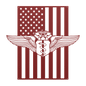 U.S. Air Force Chief Flight Surgeon Wings | American Flag Tribute - MAIKERU STUDIO
