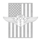 U.S. Air Force Chief Flight Surgeon Wings | American Flag Tribute - MAIKERU STUDIO