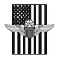 U.S. Air Force Master Pilot Wings | American Flag Tribute - MAIKERU STUDIO