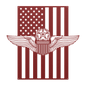 U.S. Air Force Master Pilot Wings | American Flag Tribute - MAIKERU STUDIO