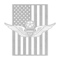 U.S. Army Master Aviation Wings | American Flag Tribute - MAIKERU STUDIO