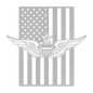U.S. Army Senior Aviation wings | American Flag Tribute - MAIKERU STUDIO