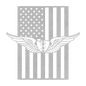 U.S. Army flight Surgeon Wings | American Flag Tribute - MAIKERU STUDIO
