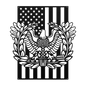 Warrant Officer Rising Eagle Tribute Metal Wall Art | American Flag - MAIKERU STUDIO